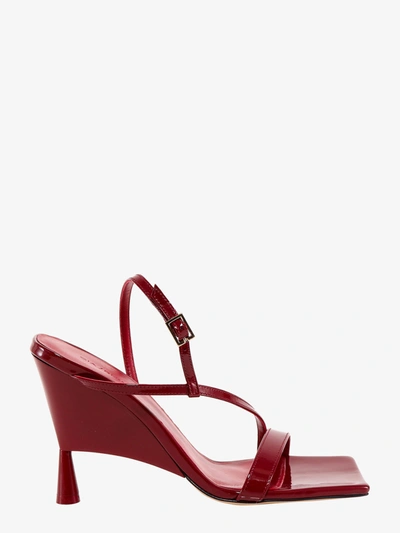 Gia Rhw Rosie 5 In Red