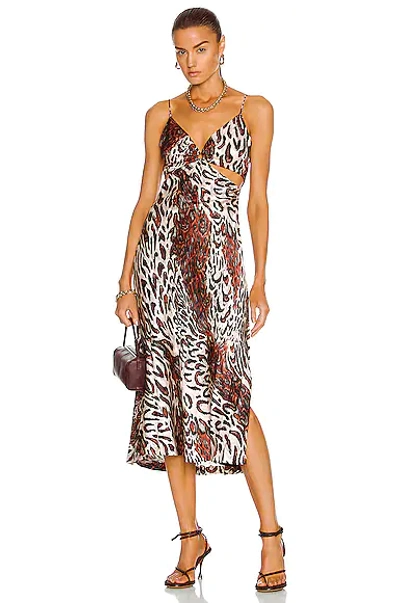 Jonathan Simkhai Standard Leopard-print Cut-out Slip Dress In Champagne Abstract Leopard