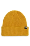The North Face Fisherman Beanie In Arrowwood Yellow