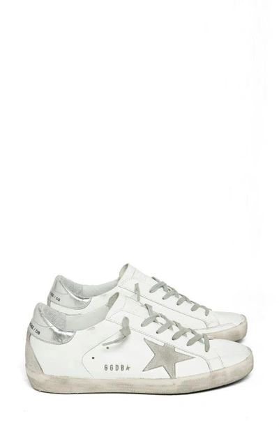 Golden Goose Super-star Low Top Sneaker In White/ Ice/ Silver