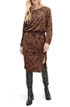 Splendid Corinna Sweater Dress In Tigers Eye Leopard