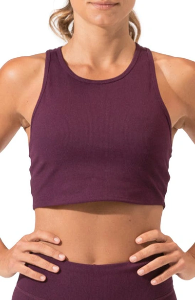 Threads 4 Thought Kensi Ribbed Sports Bra In Heather Amaranth