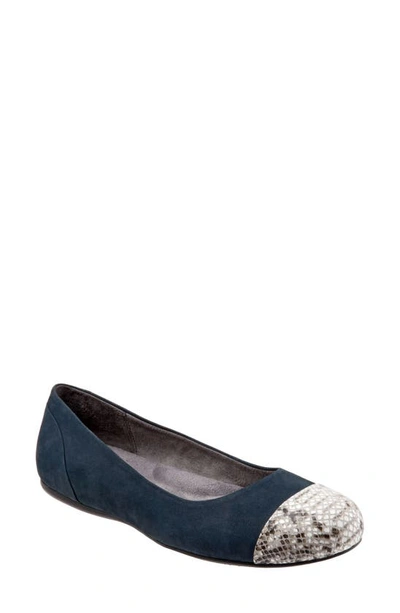 Softwalkr Sonoma Cap Toe Flat In Navy Leather
