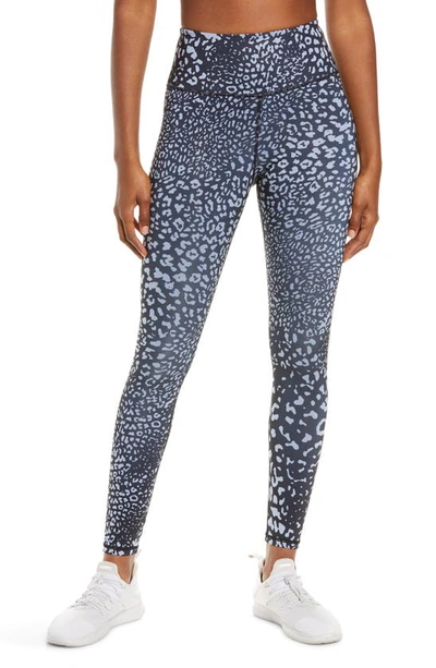Ivl Collective Leopard Print Active Leggings In Cashmere Blue/ Black