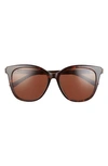 Balenciaga 57mm Square Sunglasses In Havana/brown