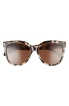 Mohala Eyewear Pikake Universal 55mm Polarized Cat Eye Sunglasses In Havana Tortoise