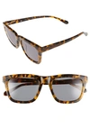 Karen Walker 55mm Deep Freeze Sunglasses In Crazy Tortoise