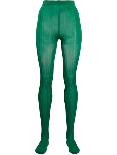 Prada Ribbed Sheer Tights In Green