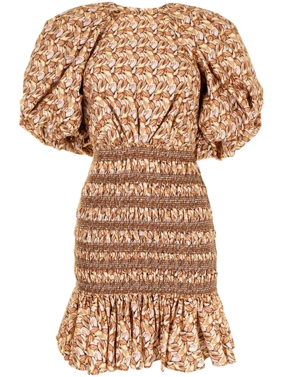 Acler Brooks Graphic-print Dress In Brown