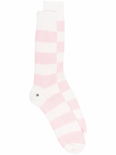 Mackintosh Striped Cotton Socks In Pink