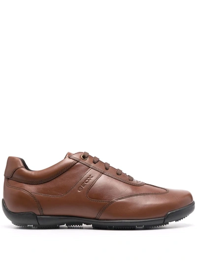 Geox Edgware A Low Top Sneakers In Brown