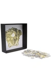 Versace Medusa Plexiglass Puzzle In Gold