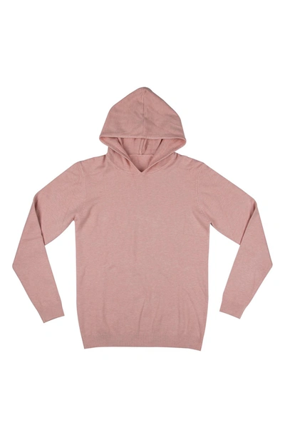 X-ray Core Knit Pullover Hoodie In Light Pink
