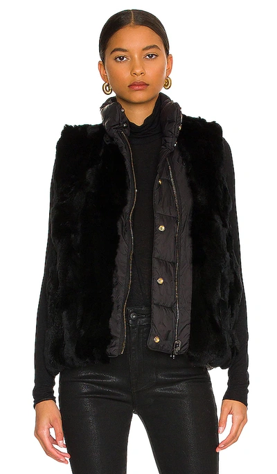 Adrienne Landau Morgan Reversible Fur Vest In Black