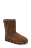 Ugg Classic Ii Genuine Shearling Lined Short Boot In Hickory