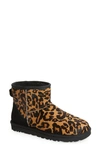Ugg Classic Mini Ii Genuine Shearling Lined Boot In Butterscotch Panther Print