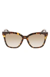 Longchamp Le Pliage 54mm Gradient Rectangle Sunglasses In Dark Havana