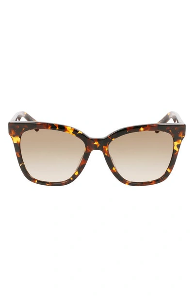 Longchamp Le Pliage 54mm Gradient Rectangle Sunglasses In Dark Havana