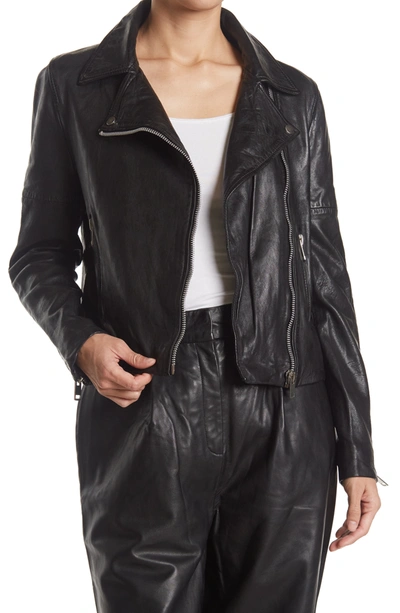 Walter Baker Presley Leather Moto Jacket In Black