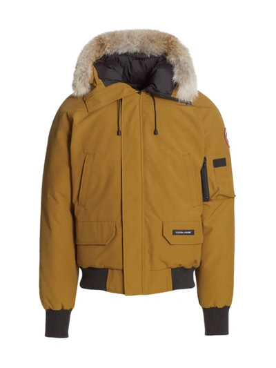 Canada Goose Chilliwack Fur Hood Down Bomber In Klondike Gold