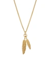 EMANUELE BICOCCHI WOMEN'S TWIN FEATHER 24K GOLDPLATED STERLING SILVER NECKLACE,400014876627