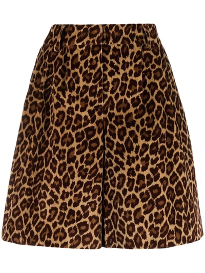 Pt01 Dafne Leopard Print Cotton Shorts In Braun