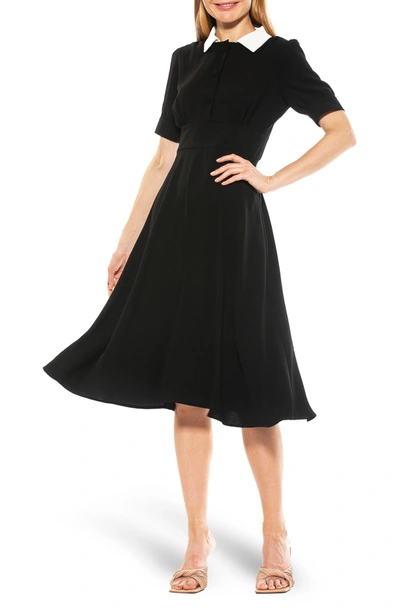 Alexia Admor Printed Spread Collar Midi Dress In Black/ Ivory