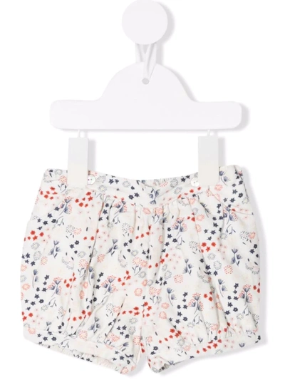 Knot Babies' Floral-print Shorts In White
