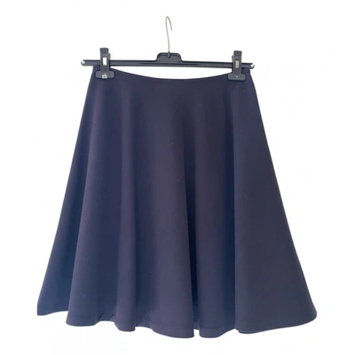 Pre-owned Alberto Biani Mid-length Skirt In Blue