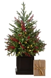 Balsam Hill Outdoor Red Berry Evergreen Pre-lit Artificial Potted Tree