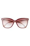 Burberry 56mm Square Sunglasses In Bordeaux/ Clear Gradient Pink