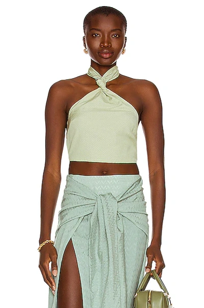 Atoir The Ynette Crop Top In Green