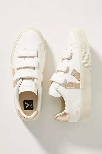 Veja Chromefree Recife Sneakers In Silver