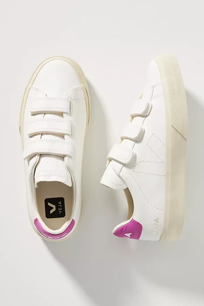 Veja Chromefree Recife Sneakers In Purple