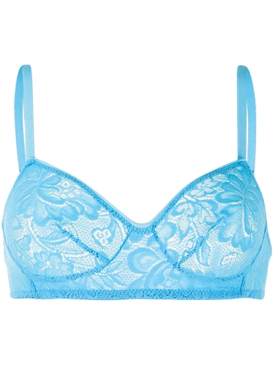 Araks Tamara Lace Bra In Blue