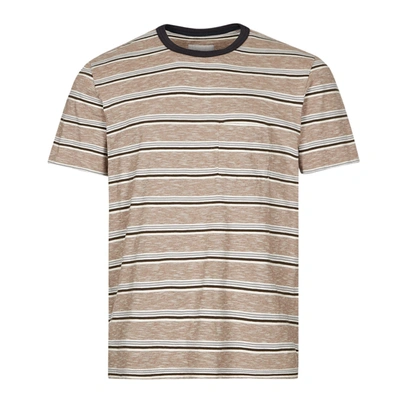 Albam T-shirt Heritage Stripe In Brown