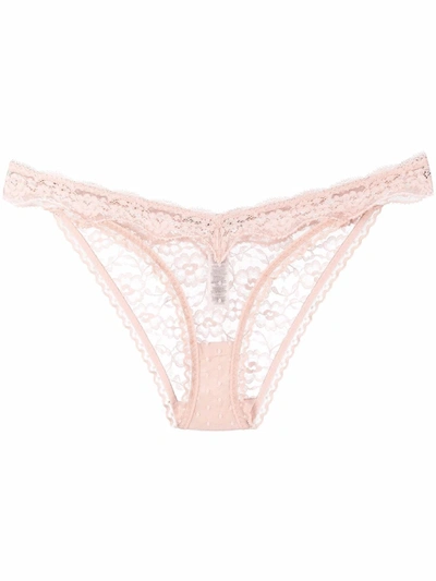 Stella Mccartney Floral-lace Sheer Briefs In Pink