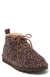 Bearpaw Skye Genuine Shearling Lined Suede Chukka Boot In Leopard