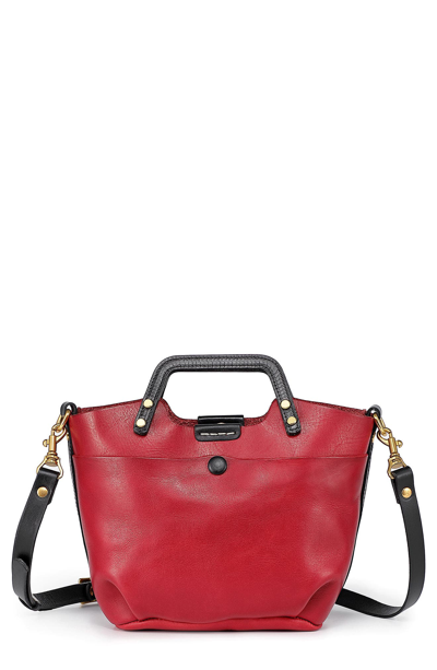 Old Trend Sprout Land Mini Leather Tote In Red