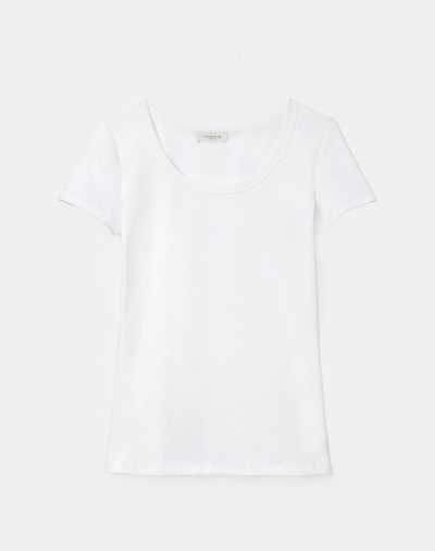 Lafayette 148 Swiss Cotton Rib Scoop Neck Tee In White