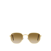 Ray Ban Hexagonal Sunglasses Gold Frame Brown Lenses 54-21