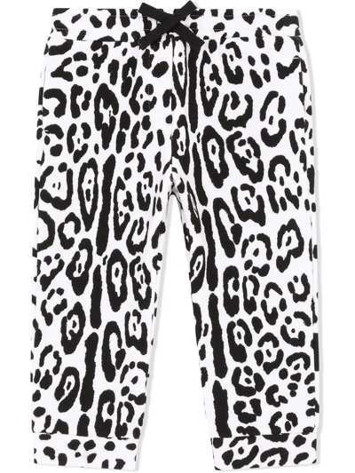 Dolce & Gabbana Babies' Leopard-print Tracksuit Bottoms In White