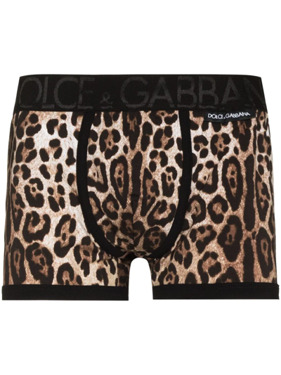 Dolce & Gabbana Logo Leopard Print Jersey Boxer Briefs In Animalier