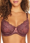 Pour Moi Amour Lace Bra In Truffle