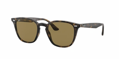 Ray Ban Ray In Dark Brown