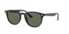 Ray Ban Ray In Green Classic