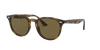 Ray Ban Ray In Dark Brown