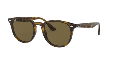 Ray Ban Ray In Dark Brown