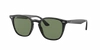 Ray Ban Ray In Green Classic
