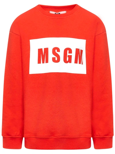 Msgm Kids Sweatshirt In Red